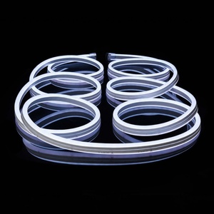 Lumière néon flexible LED 11x24mm 220V 110V Lumière néon extérieure pour éclairage publicitaire Décoration de parc - Product Image 4