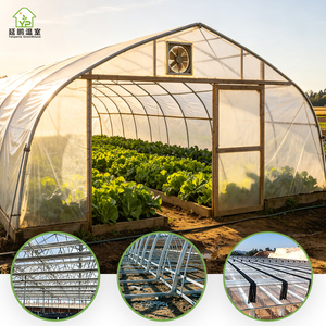 Smart Agricultural Greenhouse 500m2 Large Square PE Frame Greenhouses with PC Sheet Cover for Tropical <strong>Agriculture</strong> - Product Image 2