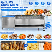 Automatische wortelborstelwasser-schilmachine voor voedselverwerkingsbedrijven, keukens, gember, cassave en zoete aardappel.