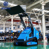 Harga Grosir CE EPA Euro 5 Skid Steer Loader RIPPA RS06 Skid Steer Loader Rubber Crawler Skid Steer Loader untuk Dijual