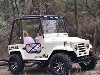 Mini Jeep ATV hybride RC 150-250HP certifié CE avec garantie de 2 ans, voiture jouet pour enfants