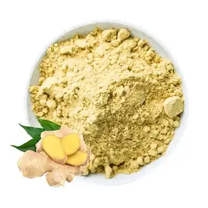 Chinese Supply Organic Ginger Root Extract Powder Ginger Healthy Tea supplier tea