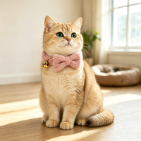 Collier pour chat en velours Teddy avec nœud papillon mignon, collier pour animaux de compagnie doux et réglable pour chats, chatons et chiots, ensemble de collier élégant pour la promenade