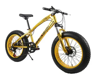 Bicicleta de Montaña de 20 pulgadas y neumático ancho 4,0 para niños, bici de montaña de 7/21/24/27 velocidades, 16kg