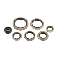 Jeu de joints d'huile de vilebrequin 822976 pour KTM XC-W 300 Six Days & TPI 2017-2019