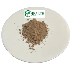 Yhealth fournit une poudre de spores de coquille de Reishi soluble dans l'eau organique