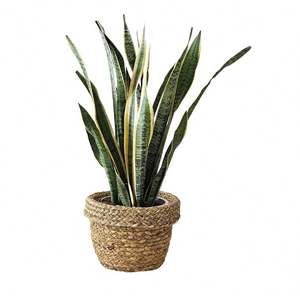 Keranjang pakaian kotor 2 tingkat, penyimpanan kamar mandi dengan kait, keranjang roti logam dapur, mainan Hyacinth bentuk tulang rotan buah 2 tingkat - Product Image 1