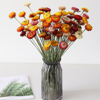 AX-38 Fleurs séchées éternelles d'Helichrysum Bracteatum écologiques et très demandées, longue durée de vie, pour Pâques