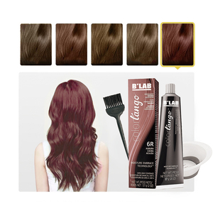 Private Label Hair Cream Color Hair Dye <span class=keywords><strong>per</strong></span> salone professionale Colorful Semi Permanent Dye Cream Low <span class=keywords><strong>ammoniaca</strong></span> Hair Dye Colors - Product Image 6