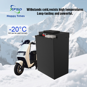 Factory Direct <strong>48V</strong> 50Ah <strong>LiFePO4</strong> <strong>Battery</strong> Pack with BMS for E-Bike E-Trike E-<strong>Scooter</strong> Long Cycle Life - Product Image 4