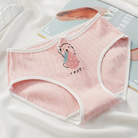 95% Katun 5% Elastis Celana Dalam Model Lolita Berpotongan Tinggi dan Berpinggang Sedang dengan Motif Renda untuk Anak Perempuan Usia 15-20 Tahun