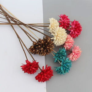 Huahuan Vente en gros personnalisée, fleurs de magnolia séchées conservées populaires sur INS, fleurs de coquille de noix pour la décoration de la maison, de la réception de mariage, des plantes - Product Image 2