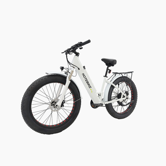 High Performance Rear Hub Motor Electric Bike E Sports Bike Land Rover Electric Bicycle Best Electric Bike