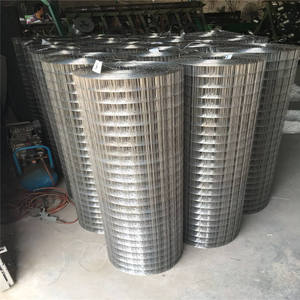 Galvanizli çelik horoz kafes boyutları 60x60 40x40 düz örgü örgü muhafaza ile bükme özellikleri kaynaklı delikli kesim oyunu horoz - Product Image 6