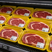 Wegwerp Pp-Hitteafdichting Voedselbakkaart Vacuümvormende Plastic Vleesbakje Fruit Voedselbakken Voedselcontainer