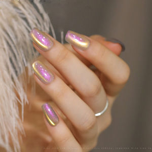 OEM/ODM <span class=keywords><strong>RONDIE</strong></span> Vernis gel UV magnétique longue durée oeil de chat avec LED durcissant perles de verre arc-en-ciel en bouteille pour Nail Art - Product Image 3
