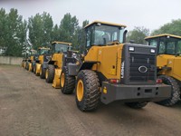 Caricatore a Forche di Alta Qualità LLG946L Giallo 4 Tonnellate a Prezzo Conveniente per Lavori Agricoli