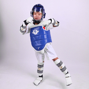 Ensemble complet de protection en polyester sur mesure pour le Taekwondo, équipement épaissi pour l'entraînement, le sparring, la compétition, le Sanda et la <span class=keywords><strong>lutte</strong></span> - Product Image 3