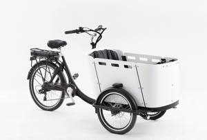 Vélo cargo électrique à <span class=keywords><strong>3</strong></span> <span class=keywords><strong>roues</strong></span> pour l'exportation, boîte frontale, bakfiets, vélo <span class=keywords><strong>hollandais</strong></span> - Product Image 4