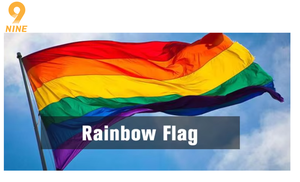 Üretici toptan 3x5 ft gökkuşağı bayrağı LGBT toplum eşcinsel gurur lezbiyen Transgender Promotional promosyon bayrakları - Product Image 2
