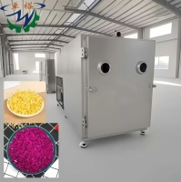 Fruit/Aardbei/Mango Vriesdroger Lyofilisatiemachine/Vriesdroogapparatuur