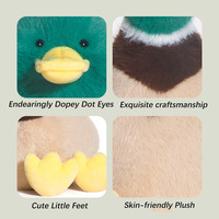 Nouveauté 2026 : Peluche Canard Colvert Brodé Super Doux de 20 cm, Style Champêtre, Jouet Mignon à Tête Verte, Accessoires