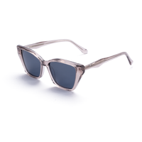 Lunettes de soleil unisexes Elan Optical SYB6208, best-seller, monture œil-de-chat pleine monture sans peinture, en acétate naturel parfumé