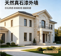Peinture imitation pierre granit haute fidélité |   Revêtement en pierre naturelle texturée 3D pour l'extérieur des villas de luxe