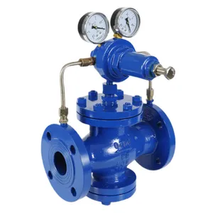 Plunger Type Gas Pressure Reducing Valve Good Quality Customized Flange Pressure Reducing Valve