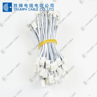 Berkualitas Tinggi Kawat Listrik 2 Pin Konektor Harness Cable Assembly untuk Otomotif Mobil Kabel