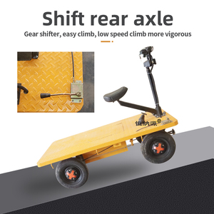 80*150cm <strong>Transport</strong> Warehouse <strong>Cargo</strong> Logistics Flatbed Tool <strong>Transport</strong> Electric Warehouse 48V20ah Lead-acid BatteryPlatform <strong>Trolley</strong> - Product Image 3