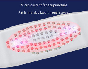 3 in 1 <b>Heating</b> Handle Scraping Massage <b>Pads</b> Meridian Brush Hot Compress Body Slimming Machine - Product Image 5