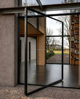 Système de porte pivotante en acier de luxe avec panneau en verre, couleur personnalisée, porte d'entrée moderne pour projets résidentiels