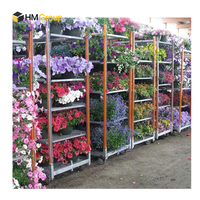 Serre personnalisée CC Pépinière Revêtement en poudre rose Vente aux enchères Stockage personnalisé Transport Chariots néerlandais pour fleurs