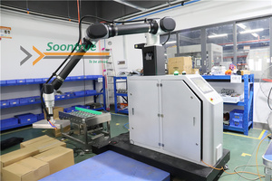 Paletizador de apilamiento automático, máquina paletizadora de caja robótica, paletizador automático de una sola columna - Product Image 4