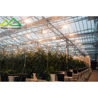 Serre en verre avec système d'éclairage HPS ( Sodium haute pression ) pour culture supplémentaire, durée de vie de 25 000 heures, 150 000 lumens, pour la floraison et la fructification