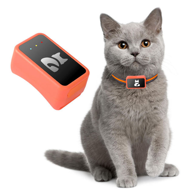G68P 4G Durable Pet GPS Tracker for Dog & Cat Activity Monitoring with Free APP No Subscription No Distance Restriction