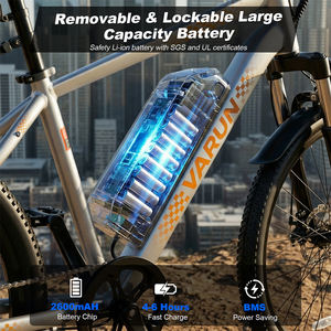 Factory Direct Wholesale VARUN 24" Mountain Ebike 350W Front Suspension 40-50KM Range Daily Rides Youth US 3-7 Working Days - Product Image 3