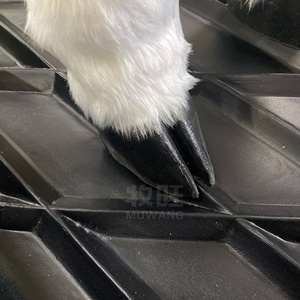 Équipement de désinfection des sabots d'animaux vétérinaires de haute qualité pour le bain des sabots des vaches laitières - Product Image 5