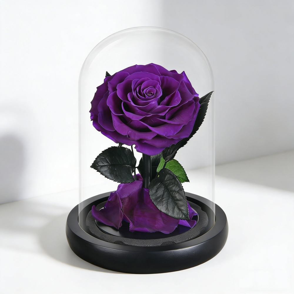 violet noble Mini 10*18
