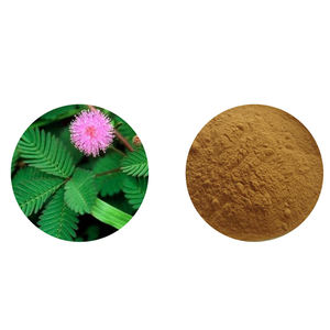 Extracto de corteza de raíz de <span class=keywords><strong>mimosa</strong></span> - Product Image 4