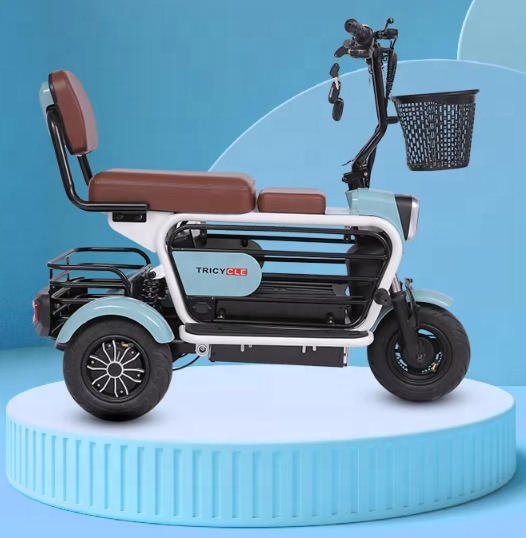 3 Wheel Electric Scooter With Double Seats Passenger Battery Electric Tricycle
