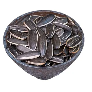 Raw Material Processing Sunflower Seeds Sunflower Seeds Wholesale White Sunflower Seeds For Food Process