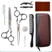 Ensemble de ciseaux de coiffure 6 pouces en acier inoxydable 9CR, ciseaux à effiler à dents plates et à dents en V pour usage en salon