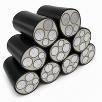 Câble d'alimentation blindé en aluminium YJLV22 3*120+1*70mm² 0.6/1kv 4 conducteurs XLPE - Description du produit