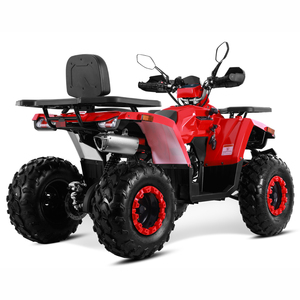 Tao Motor New Electric Start Chain Drive 4x2 Off Road 200cc ATV Quad Bike Quadriciclo Quad ATV 200 - Product Image 3