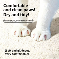Litière pour chat végétale en mélange de cassave et de tofu, agglomération rapide, charbon actif, faible poussière, jetable dans les toilettes, biodégradable