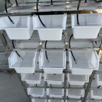 M1 Lab Rack Acier Inoxydable Plastique Moderne Simple Classique Souris Rongeur Rat Cage D'élevage Laboratoire Équipement D'élevage