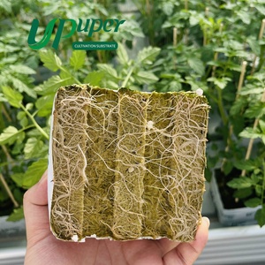 Vườn trồng rau thủy canh UPuper Sweet Pepper trong nhà kính với khối đá khoáng - Product Image 5