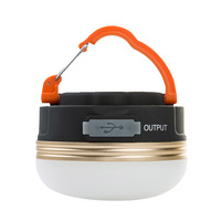 Lampe de camping LED d'extérieur à effet flamme, étanche, portable, pour tente, avec commande par bouton, longue durée, 220V